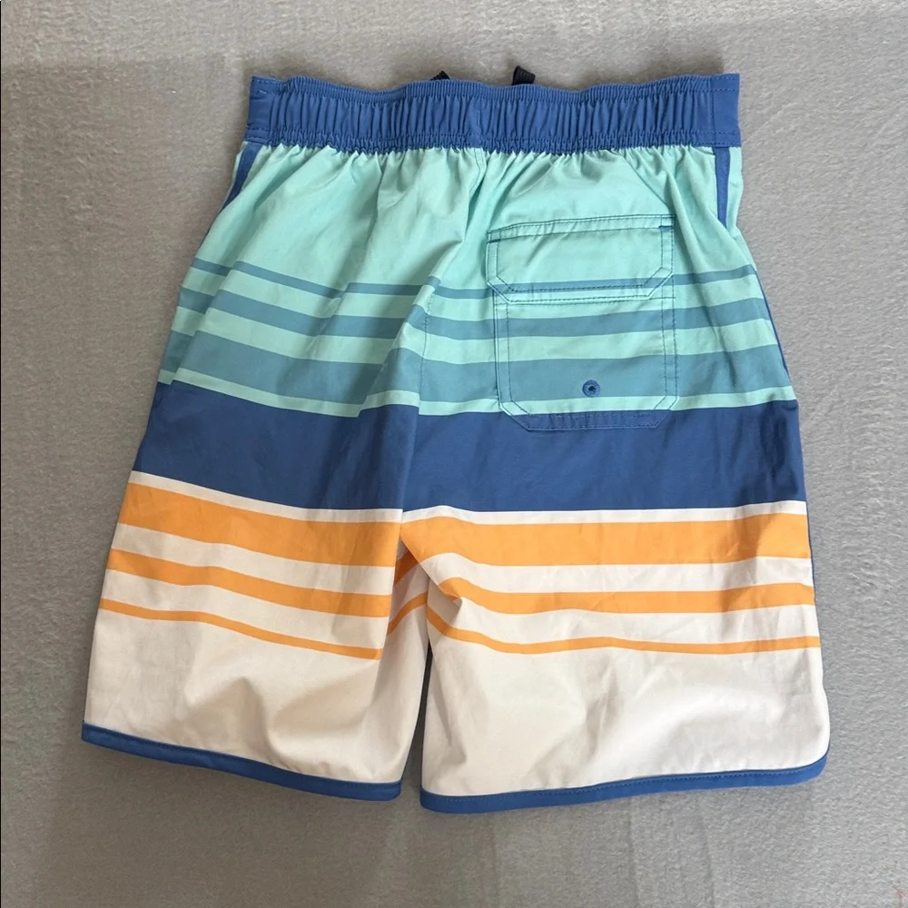 Abercrombie Kids Multicolor Striped Swim Trunks Size 9/10‎